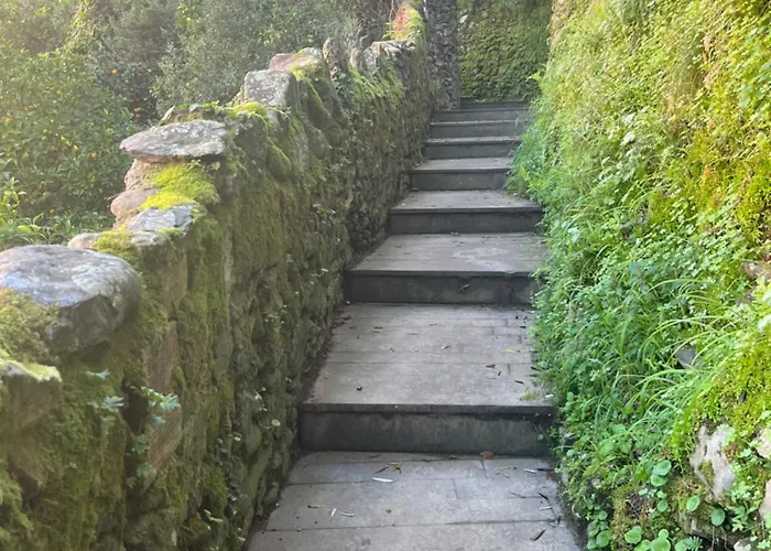 Chez Diego With Ac And Garden Appartement *